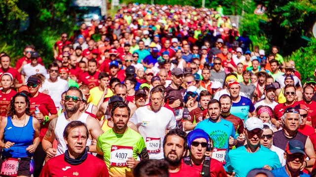 Accord du verbe quand le sujet est une foule, une multitude